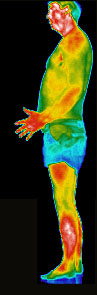 full body
                          thermogram