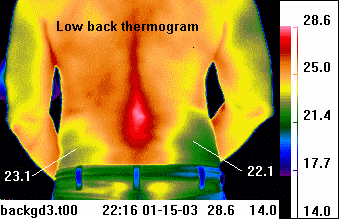 thermal images
                                              showing heat areas on the
                                              human body