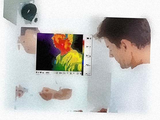 mirror thermal image system